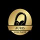 Auris Music Player Logo